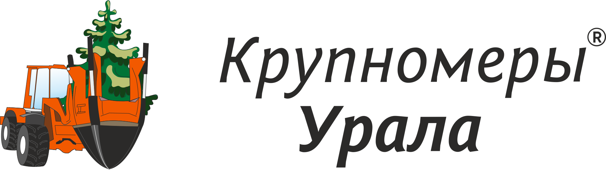 Саженцы деревьев-крупномеров✔️ купить в Шадринске, цена - Крупномеры Урала